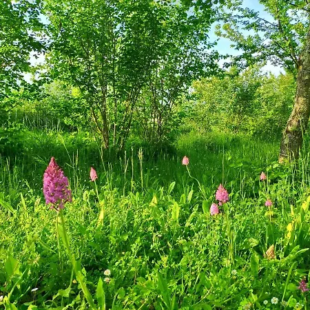 Les Perouilles - La Roulotte Climatisee Avec Jacuzzi De Josepha Farma