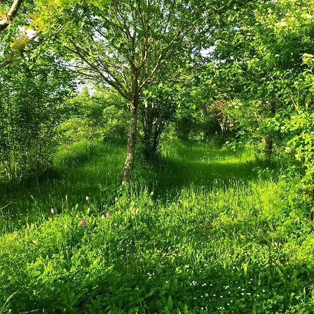 Les Perouilles - La Roulotte Climatisee Avec Jacuzzi De Josepha *