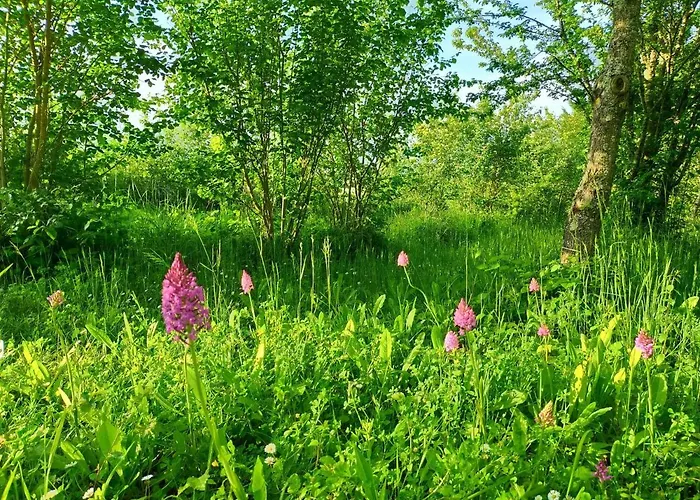 Les Perouilles - La Roulotte Climatisee Avec Jacuzzi De Josepha Κατάλυμα σε φάρμα