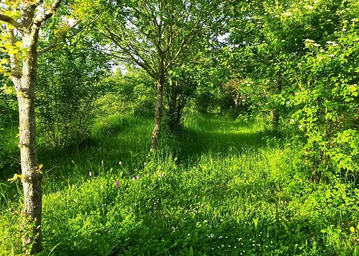 Les Perouilles - La Roulotte Climatisee Avec Jacuzzi De Josepha *