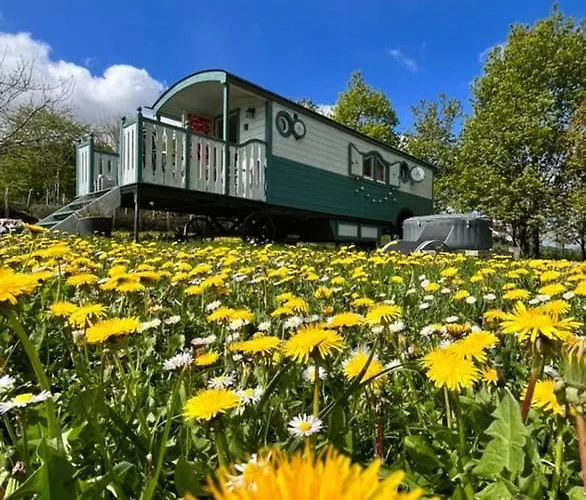 Κατάλυμα σε φάρμα Les Perouilles - La Roulotte Climatisee Avec Jacuzzi De Josepha Puymiclan